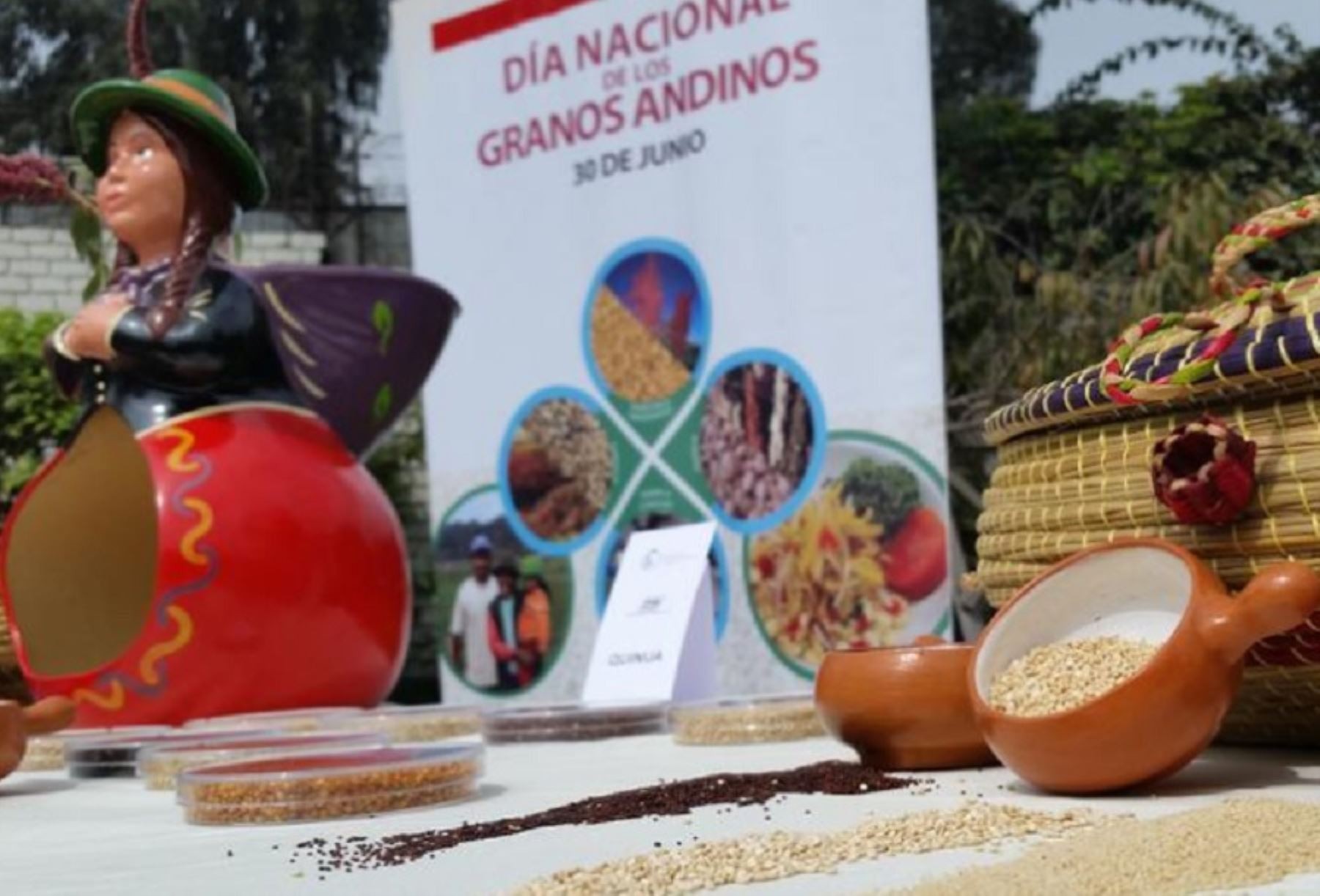 Andean Grains Day: know their nutritional value and which are superfoods